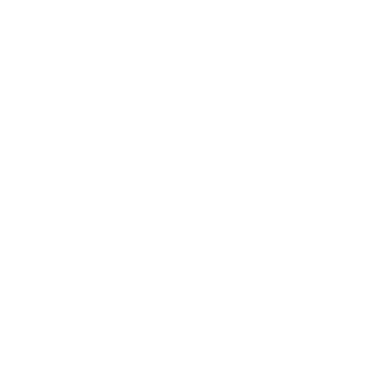 undp